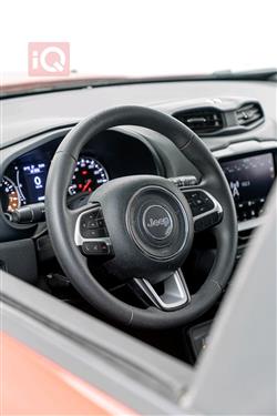 جيب رينيجيد